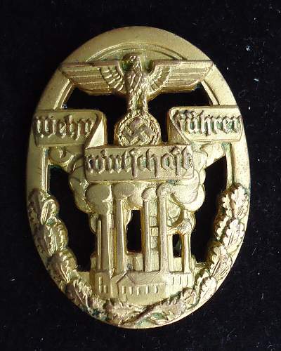 Need help with identifying a badge