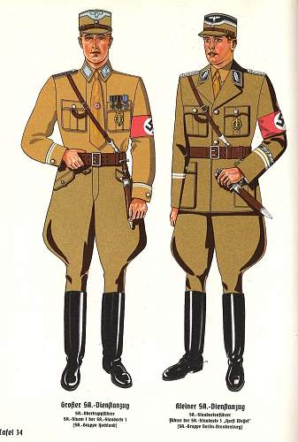 NSDAP shoulder board?