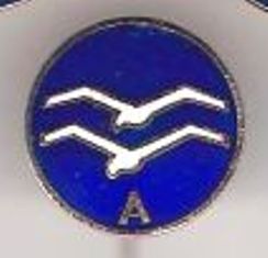 NSFK Glider Proficiency badge