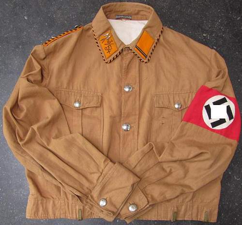 SA brown shirt(opinions)