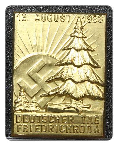1933 Deutscher Tag Friedrichroda Tinnie