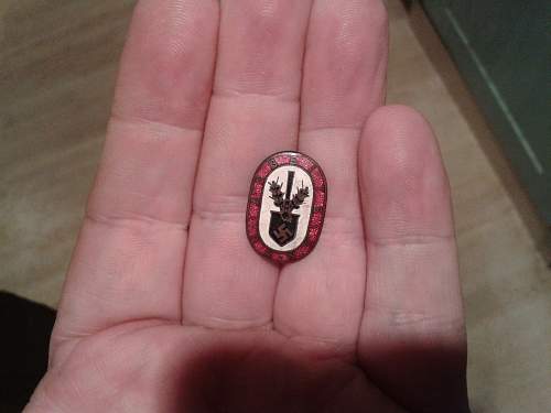 RAD enamel badge