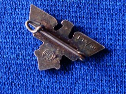 Reichsbund der Deutschen Beamten pin badge