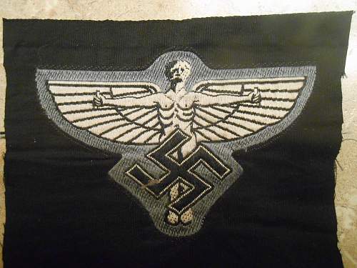 40 Year old reproduction insignia