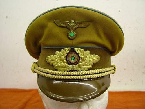 Visor cap i want to buy...