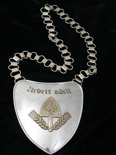 Hello I'm looking at picking this up RAD Gorget