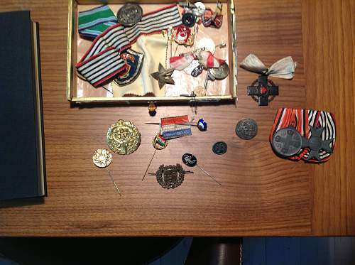 Various badges and pins