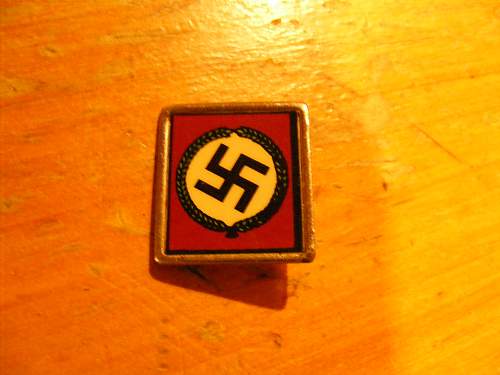 Nazi Pin??