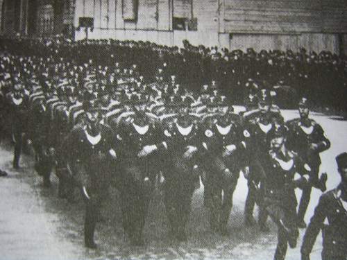 SA standarte Feldherrnhalle or Pol. Leader