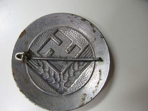 Reichsarbeitsdienst weibliche Jugend broach