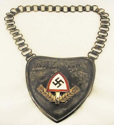 What do you think of this RAD gorget??