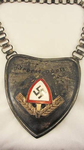 What do you think of this RAD gorget??