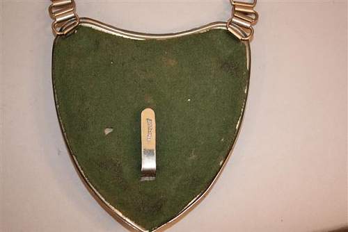 What do you think of this RAD gorget??