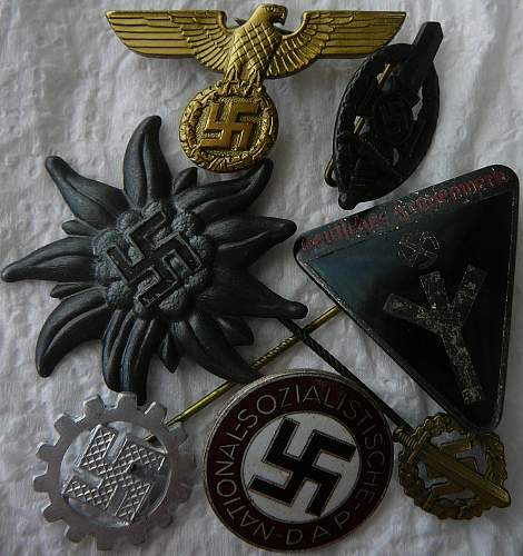 Grouping of badges and insignia