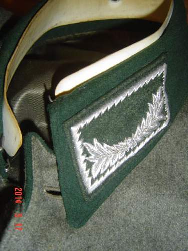 Customs tunic