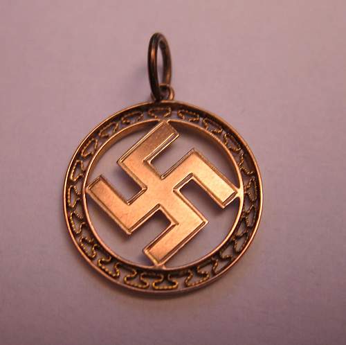 Anyone seen this sort of pendant before?