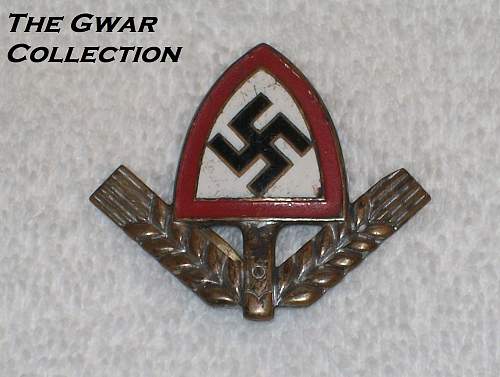 Any members collecting Reichsarbidienst Cap Insignia