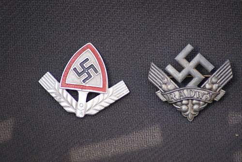 Any members collecting Reichsarbidienst Cap Insignia