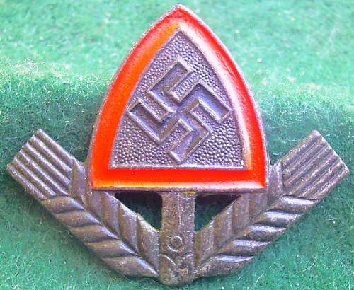 Any members collecting Reichsarbidienst Cap Insignia