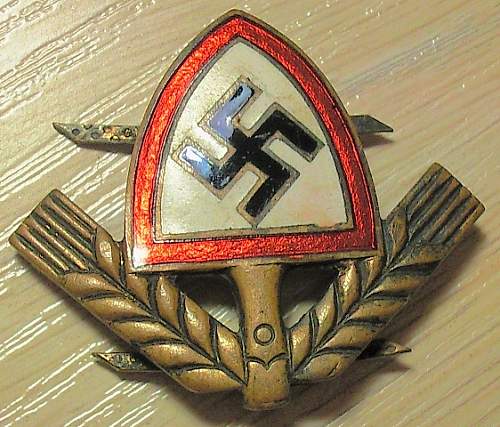 Any members collecting Reichsarbidienst Cap Insignia