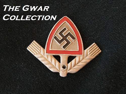 Any members collecting Reichsarbidienst Cap Insignia