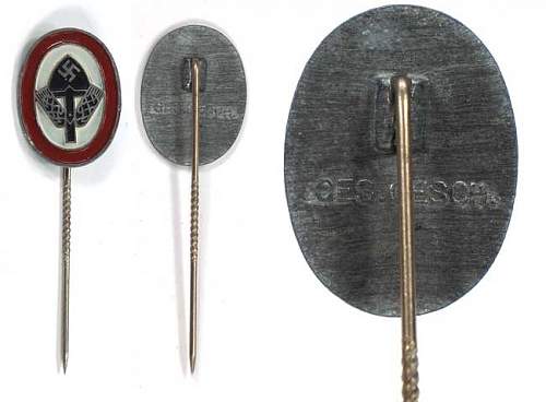RAD lapel pin painted or enamel