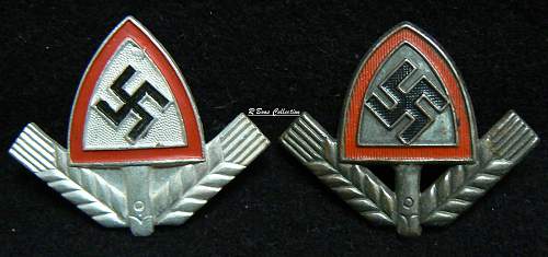 Any members collecting Reichsarbidienst Cap Insignia