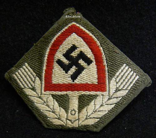 Any members collecting Reichsarbidienst Cap Insignia