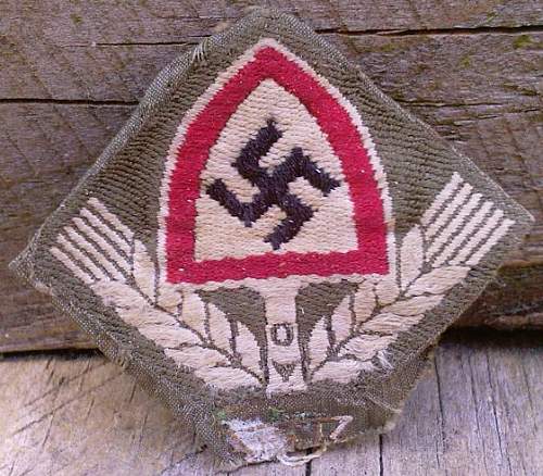 Any members collecting Reichsarbidienst Cap Insignia