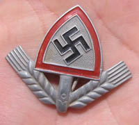 Any members collecting Reichsarbidienst Cap Insignia