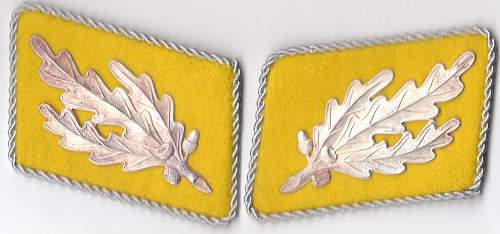 SA Gruppenfuhrer collar tabs