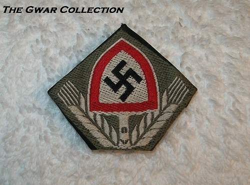 Any members collecting Reichsarbidienst Cap Insignia