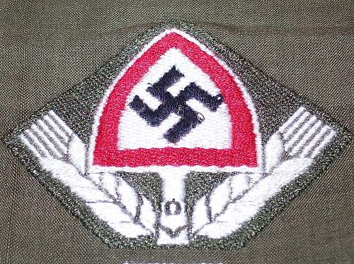 Any members collecting Reichsarbidienst Cap Insignia