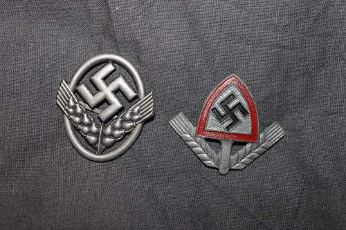 Any members collecting Reichsarbidienst Cap Insignia