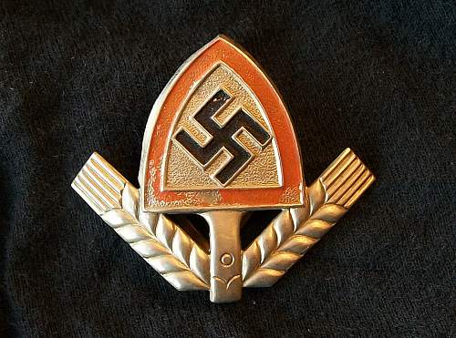 Any members collecting Reichsarbidienst Cap Insignia