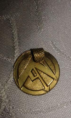 unknown badge ?