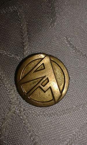 unknown badge ?