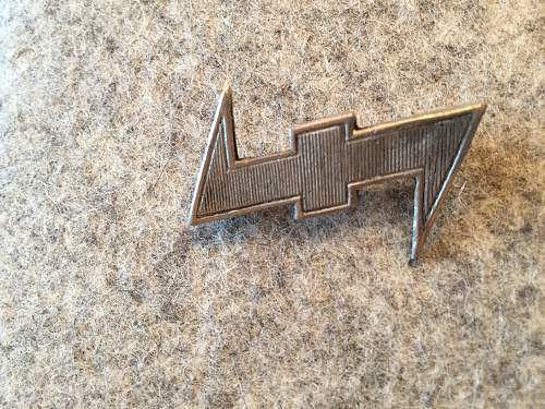 Wolfsangel- Possible NSB (Dutch)  WA pin? Or something else? Or a fake?