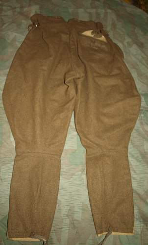 SA wool pants