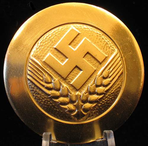 Reichsarbeitsdienst weibliche Jugend broach