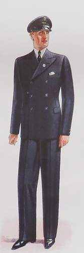 WW2 German DAF Festival Leader Uniform