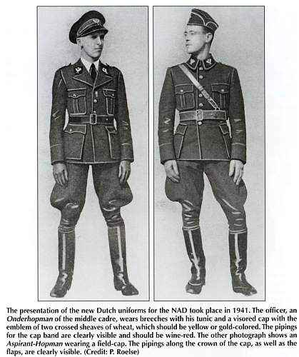 Possible German uniform?