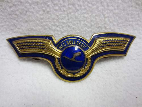 DLH Pilot's Wings