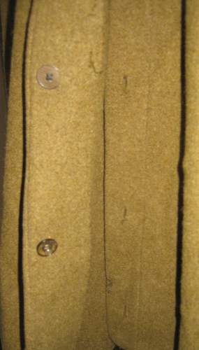 Sturmabteilung coat