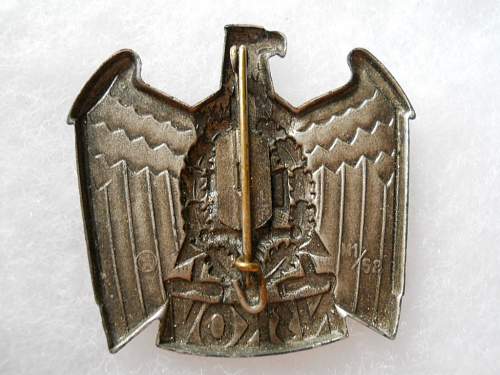 NSKOV cap eagle for review