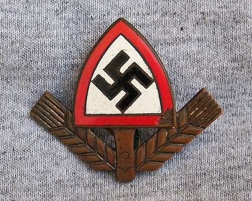 Any members collecting Reichsarbidienst Cap Insignia