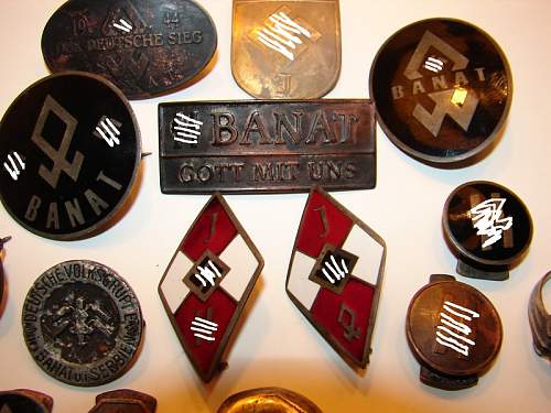 BANAT Badge Fantasy or Original