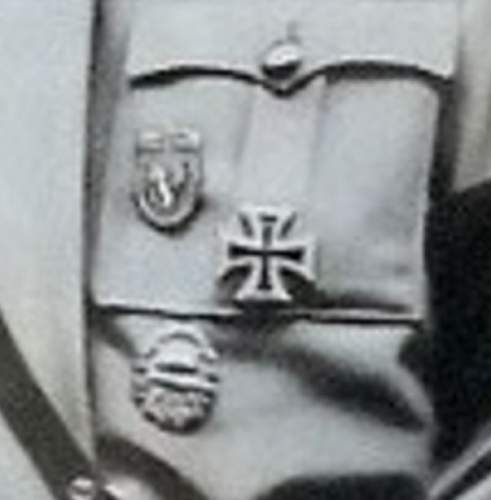 Need Help to identify tinnies and badges worn by Hitler 1932 - 34