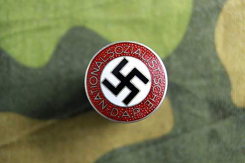 National sozialistische pin