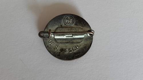 Real or fake? NSDAP partabzeichen pin